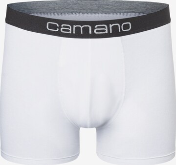 camano Boxershorts in Grau