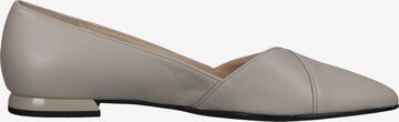 Högl Ballet Flats in Grey