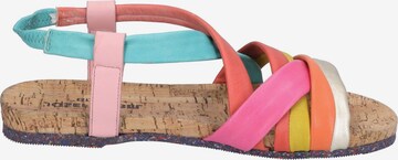 JOSEF SEIBEL Strap Sandals 'Henriette 03' in Mixed colors