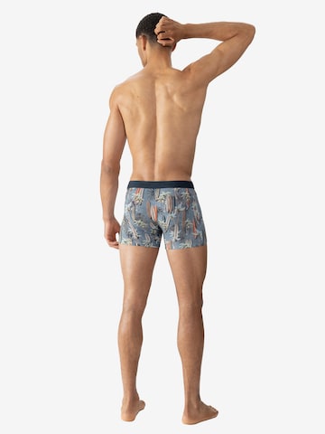 Mey Boxer shorts 'Surfer Paradise' in Grey