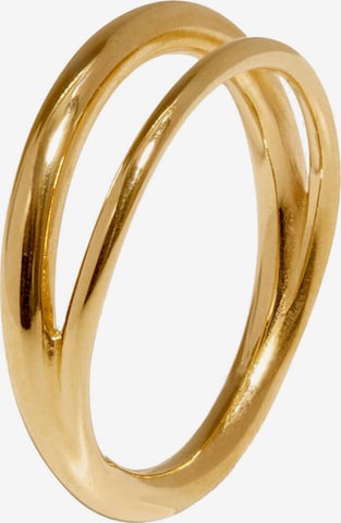 Stilnest Ring in Gold: front