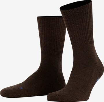 FALKE Socken 'Walkie Light' in Braun: Vorderseite