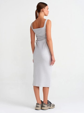 Robe Dilvin en gris