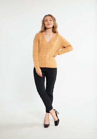 RISA Knit cardigan 'Teylon' in Brown