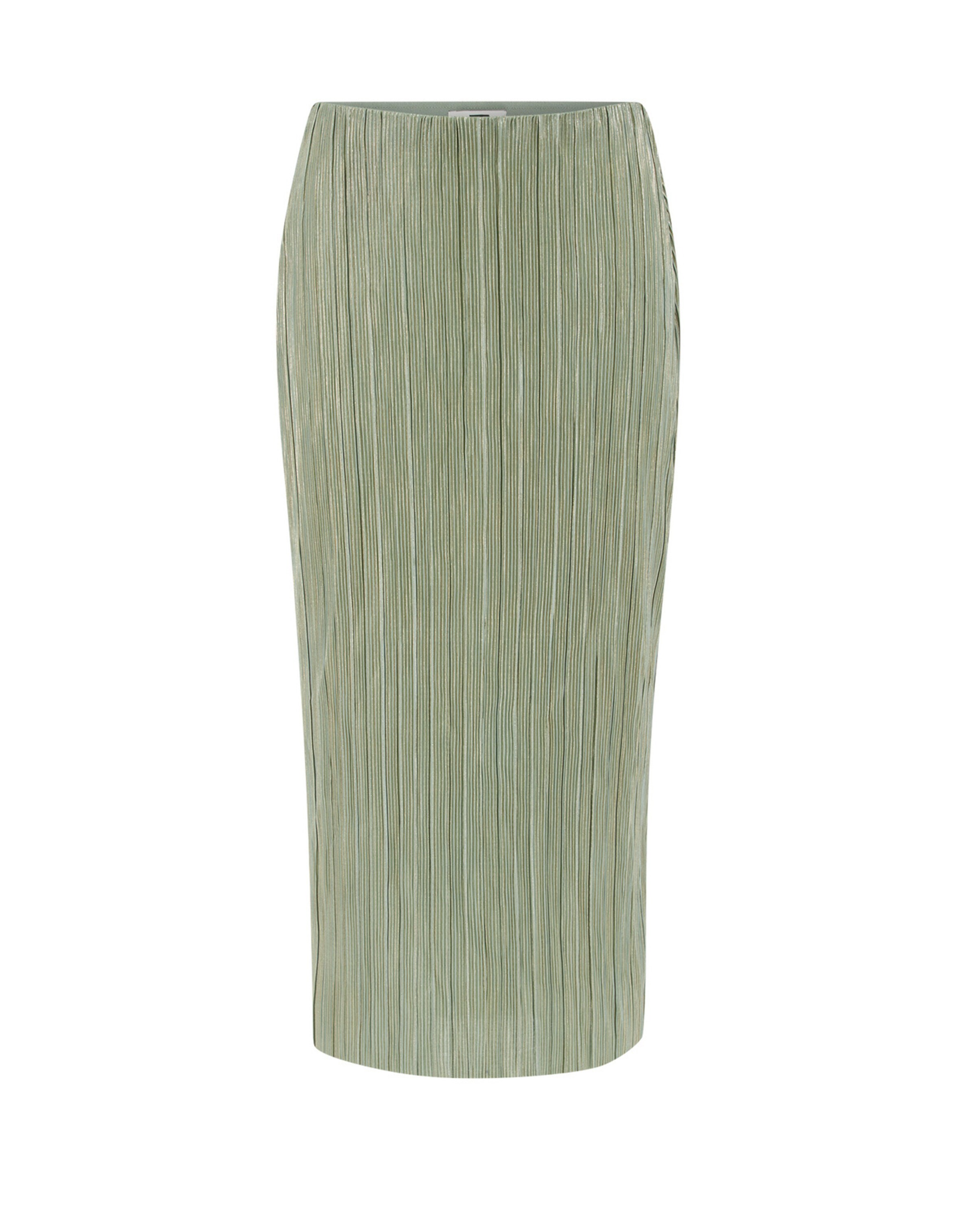 zaļš WE Fashion Svārki: no priekšpuses