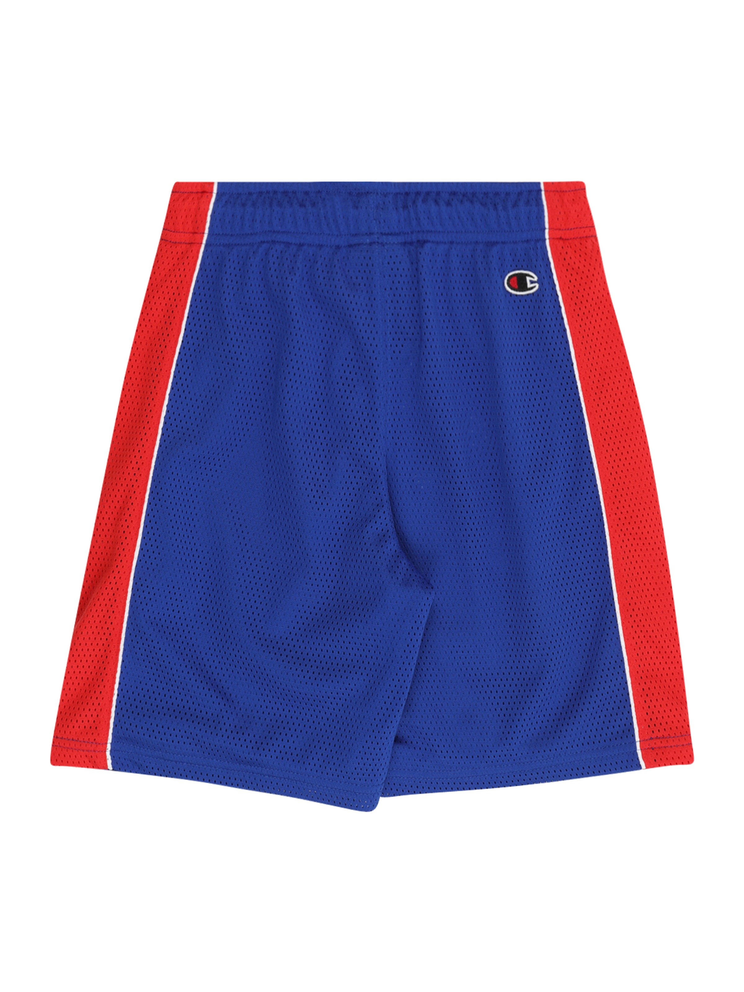 Champion Authentic Athletic Apparel Loosefit Shorts in Blau