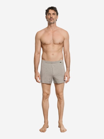 Hanro Boxershorts ' Casuals Daywear ' in Beige
