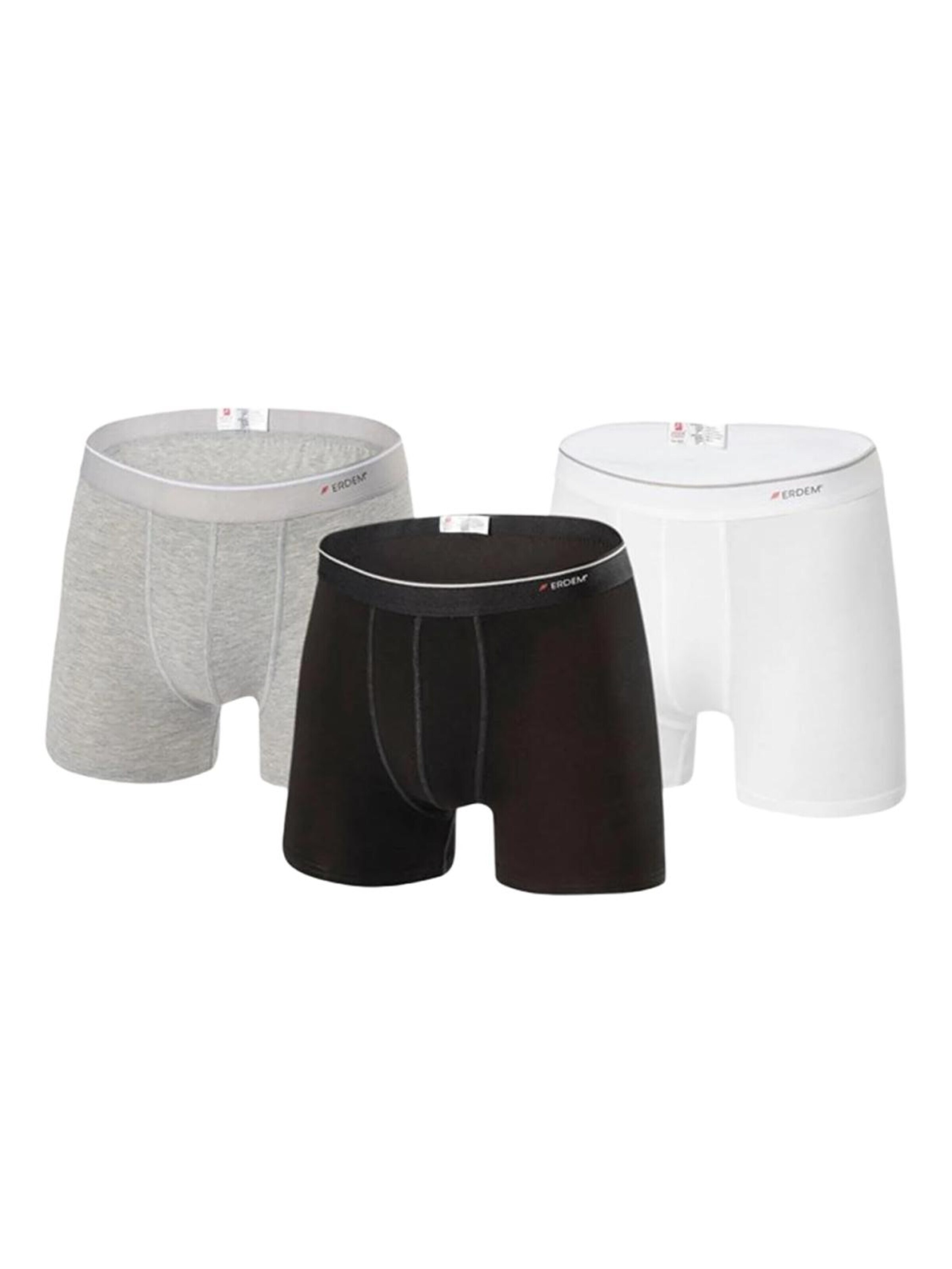 Erdem Swimming Trunks in Grey: front
