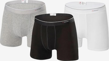 Boardshorts Erdem en gris : devant