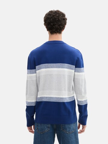 TOM TAILOR DENIM Trui in Blauw