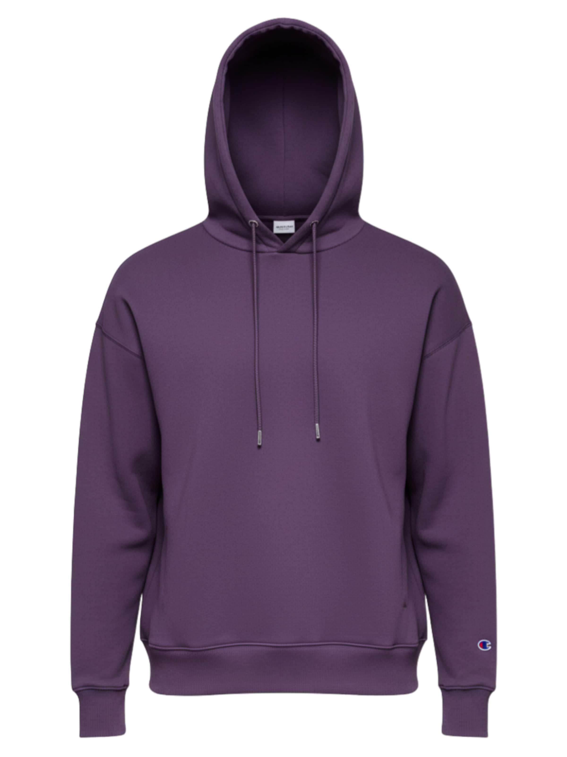 Ombre Sweatshirt 'OU-SNBC-0105' in Purple: front