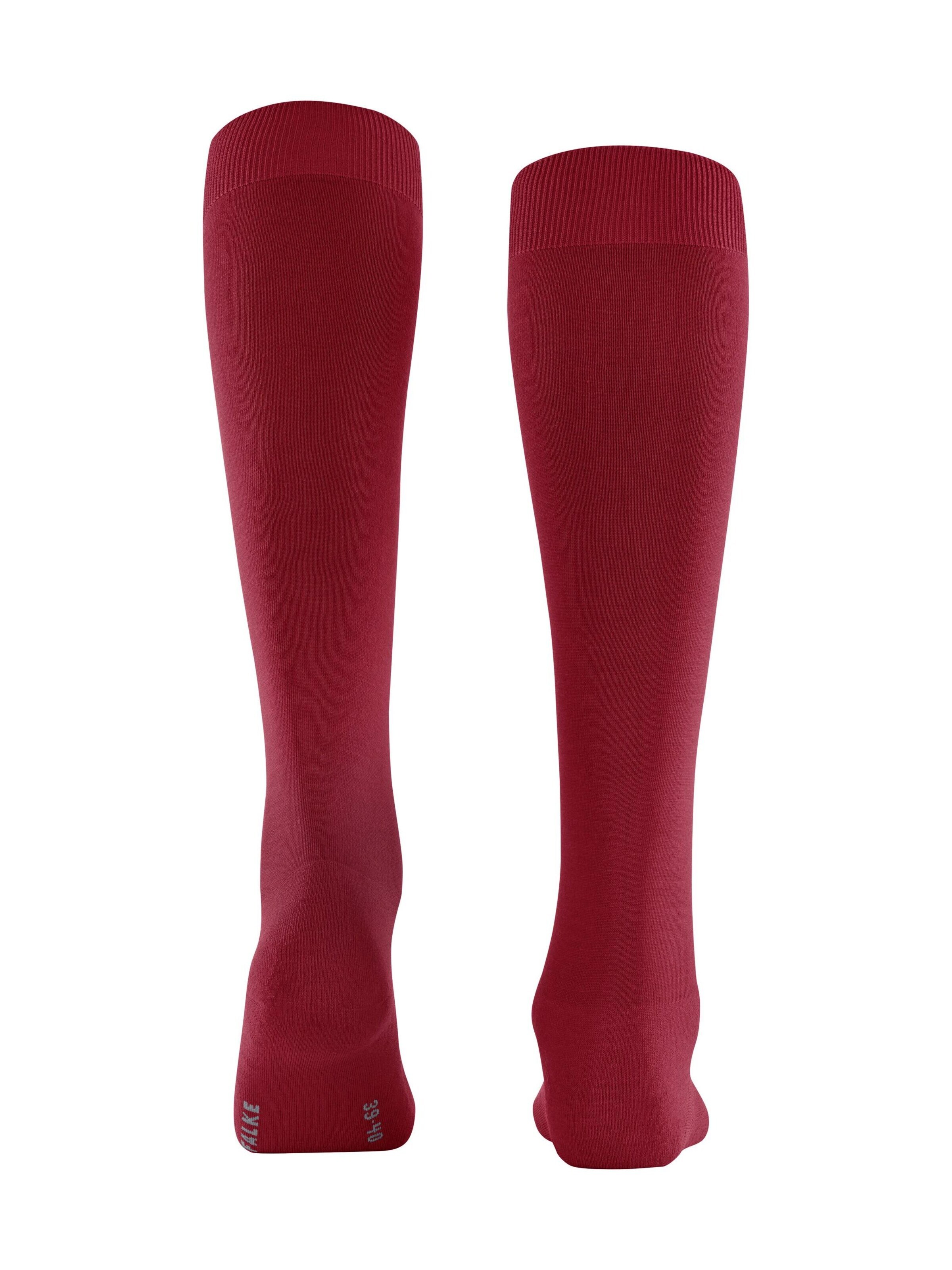 FALKE Kniestrümpfe 'ClimaWool'‌‌‌‌‌‌ in Rot