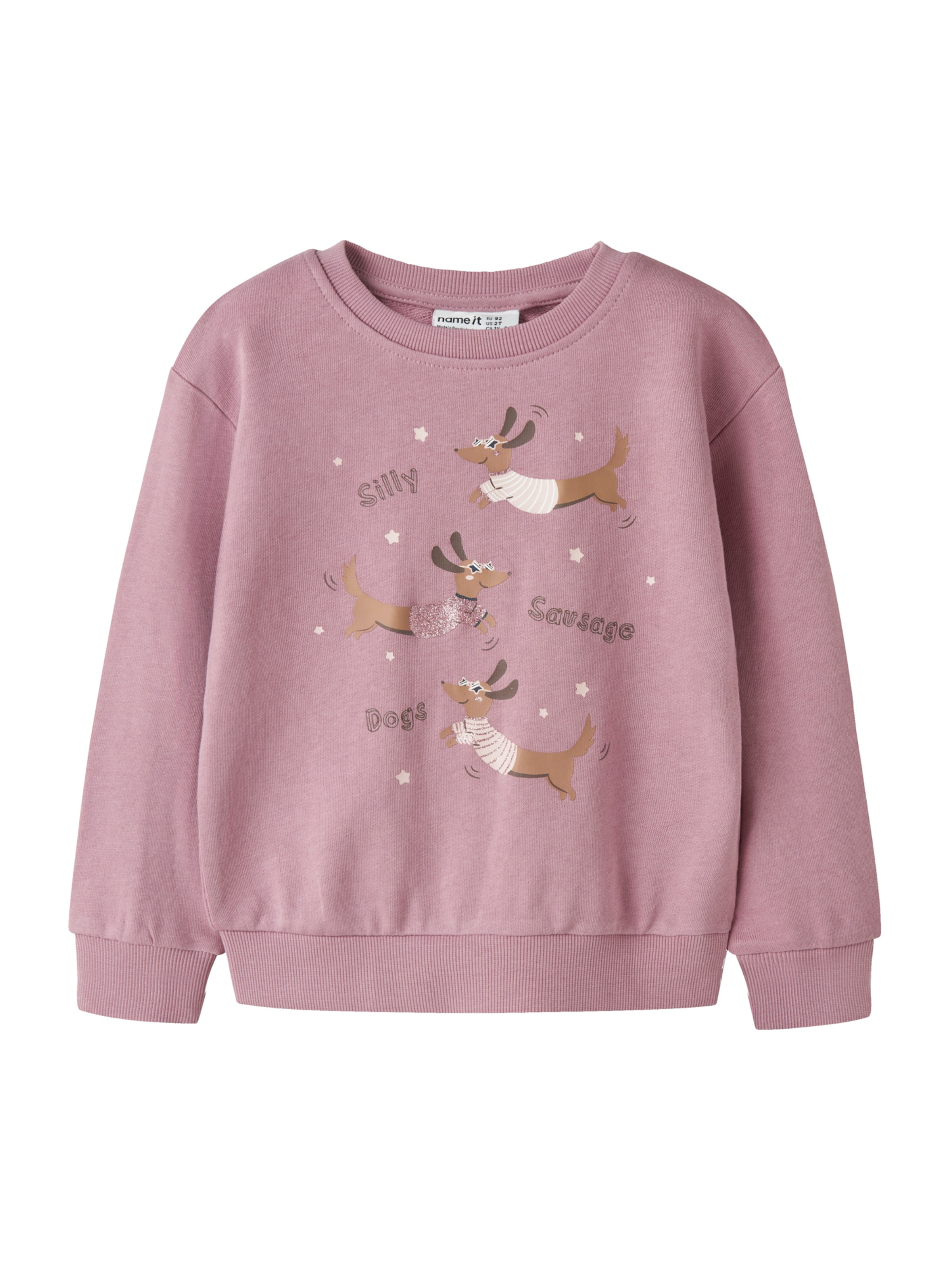NAME IT Sweatshirt 'NMFVASACHA' i lila: framsida