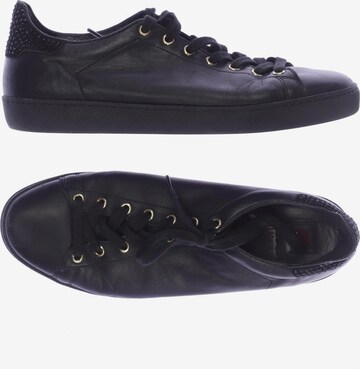 Högl Sneakers & Trainers in 40,5 in Black: front