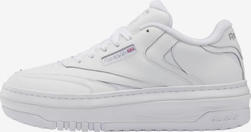 Baskets basses 'Club C Extra' Reebok en blanc : devant