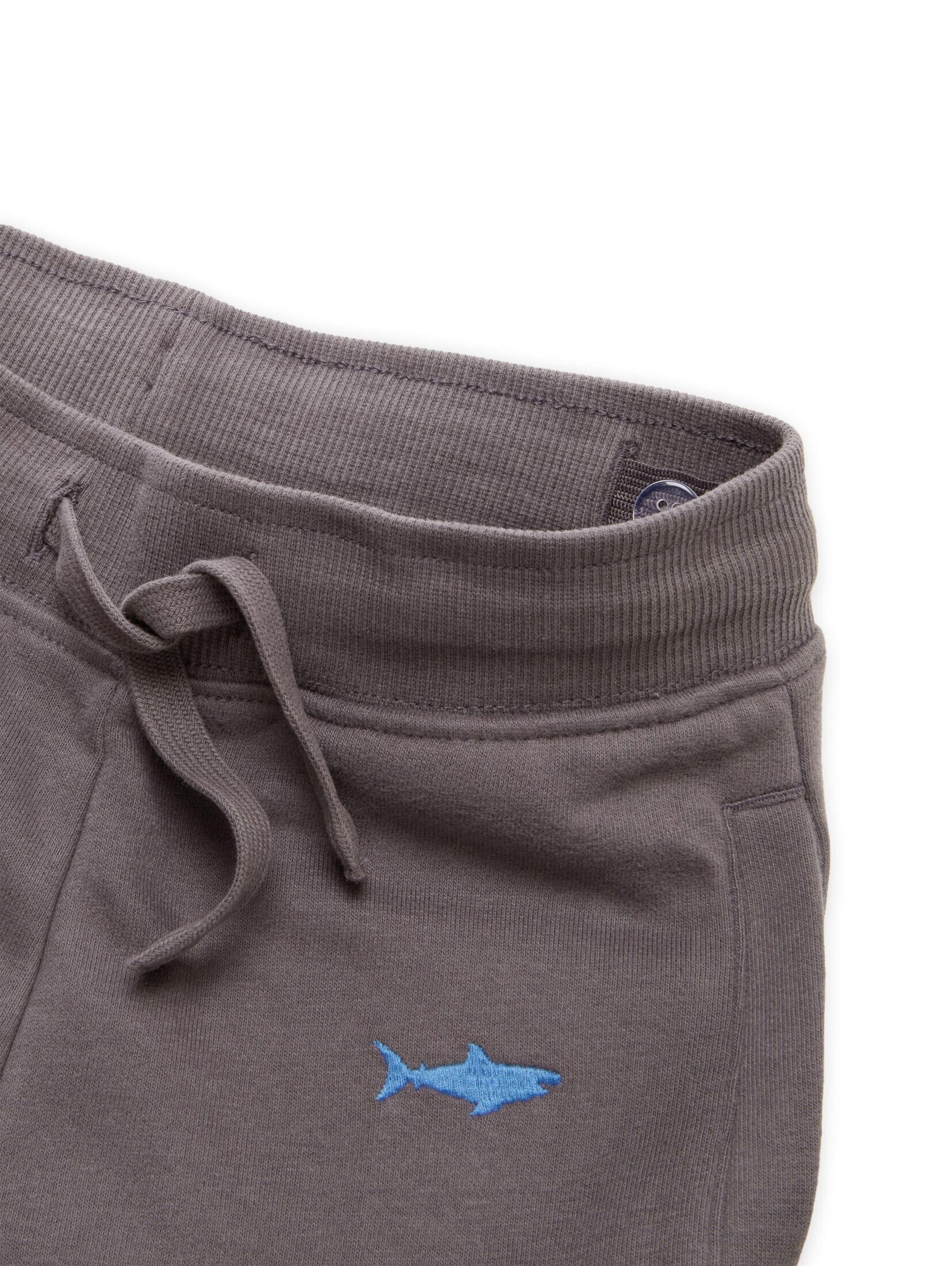 TOM TAILOR Loosefit Hose in Grau