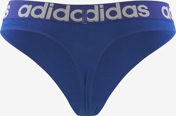 ADIDAS SPORTSWEAR Sportunterhose in Blau