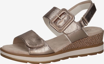 Sandalo di CAPRICE in grigio: frontale