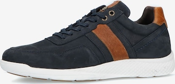 Baskets basses MANFIELD en bleu : devant