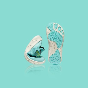 GEOX Sneakers in Blue