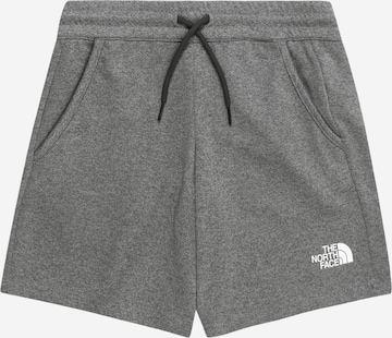 THE NORTH FACE Regular Outdoorshorts 'NEVER STOP' in Grau: predná strana