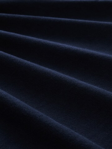 TOM TAILOR Sweater in Blue