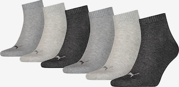 Chaussettes PUMA en gris : devant