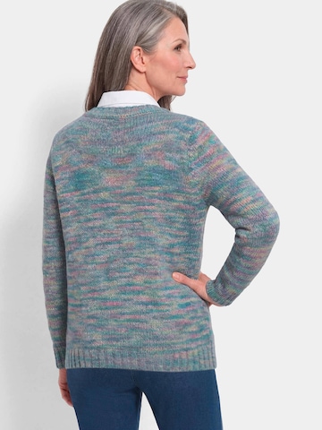Goldner Sweater in Mixed colours