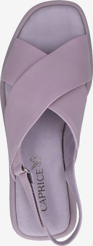 Sandales CAPRICE en violet