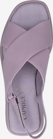 CAPRICE Sandals in Purple