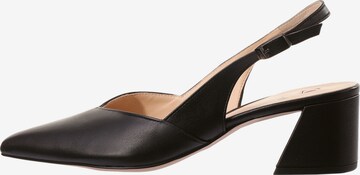 Högl Slingback Pumps 'Laura' in Black: front