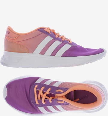 ADIDAS NEO Sneakers Trainers in 37 5 in Purple ABOUT YOU