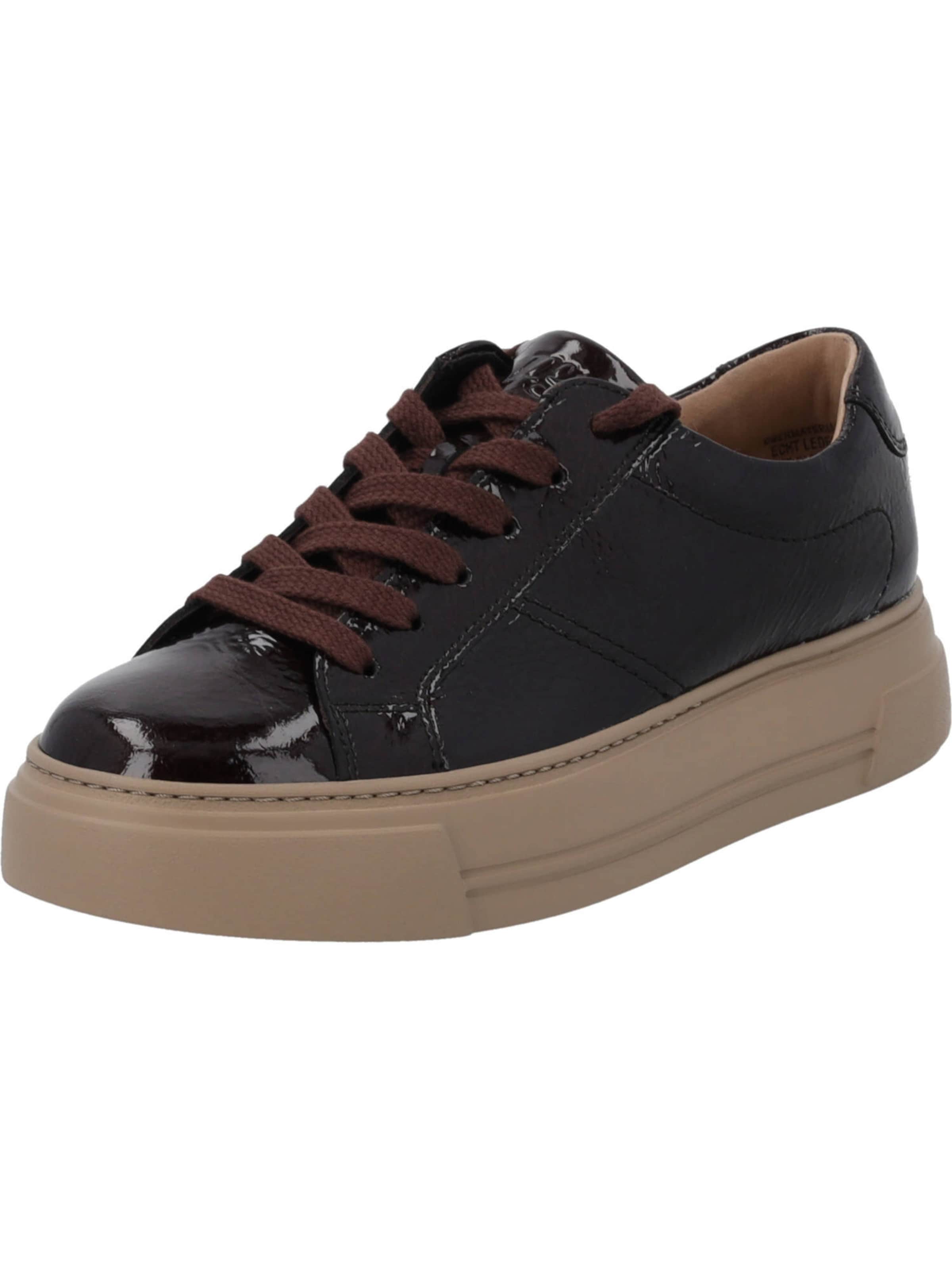 Paul Green Sneakers '5469' in Brown: front