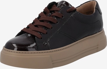 Paul Green Sneaker '5469' in Braun: Vorderseite