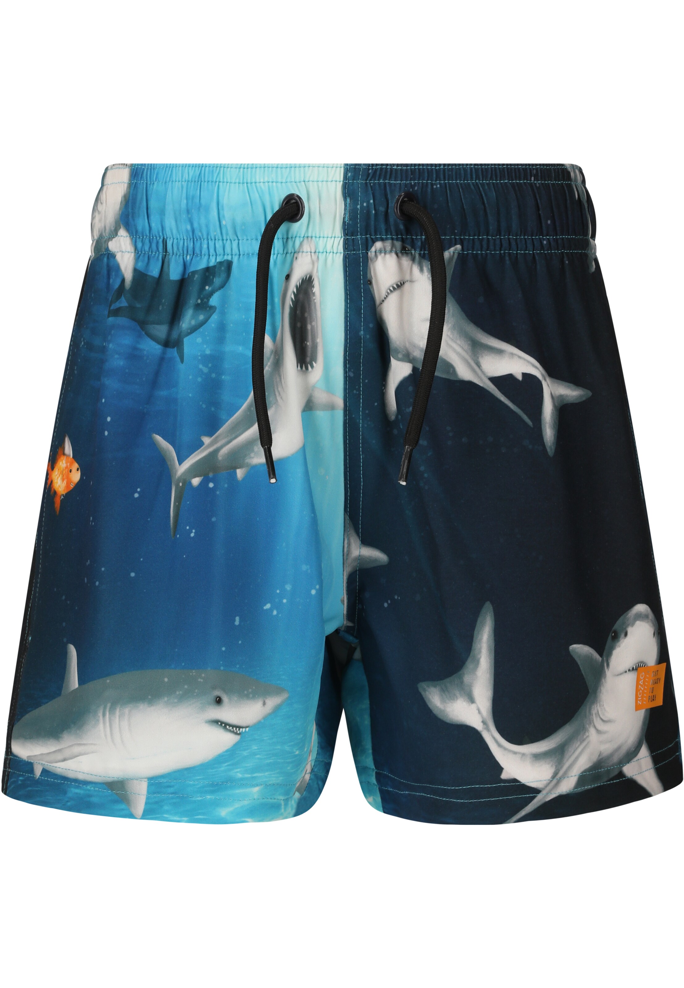 ZigZag Board Shorts 'Sealife' in Blue: front