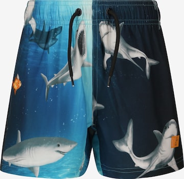 ZigZag Boardshorts 'Sealife' in Blau: Vorderseite