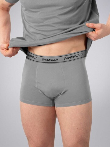 PANTONECLO - Calzoncillo boxer 'Pantoneclo Men’s Boxer Underwear' en gris: frente