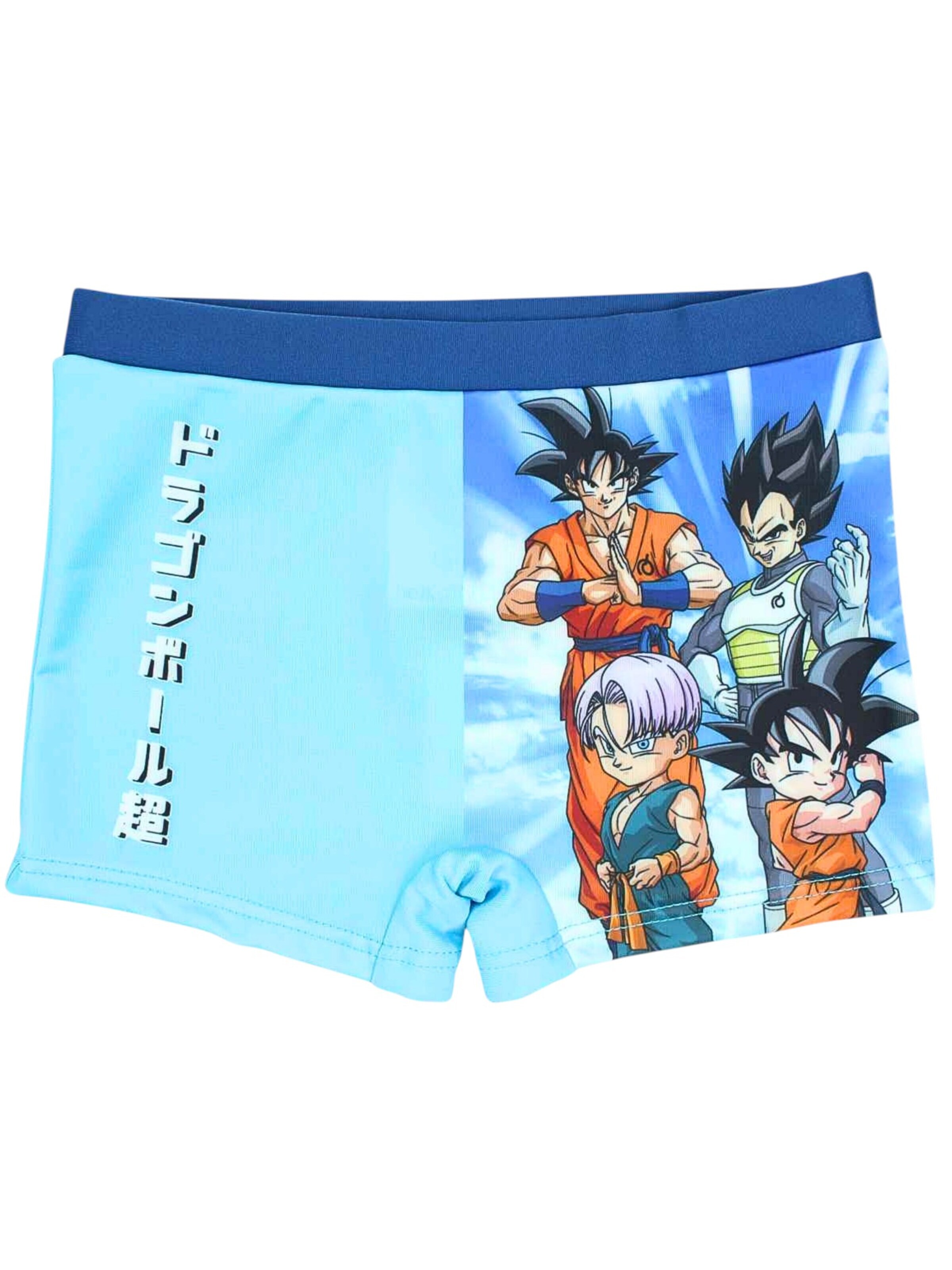 Dragon Ball Board Shorts 'Dragon Ball' in Blue: front