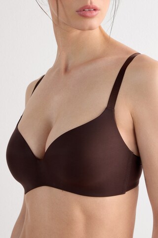 INTIMISSIMI Triangle Bra 'Adele' in Brown