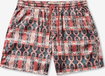 Regular Pantalon Pas De Monaco en mélange de couleurs : devant