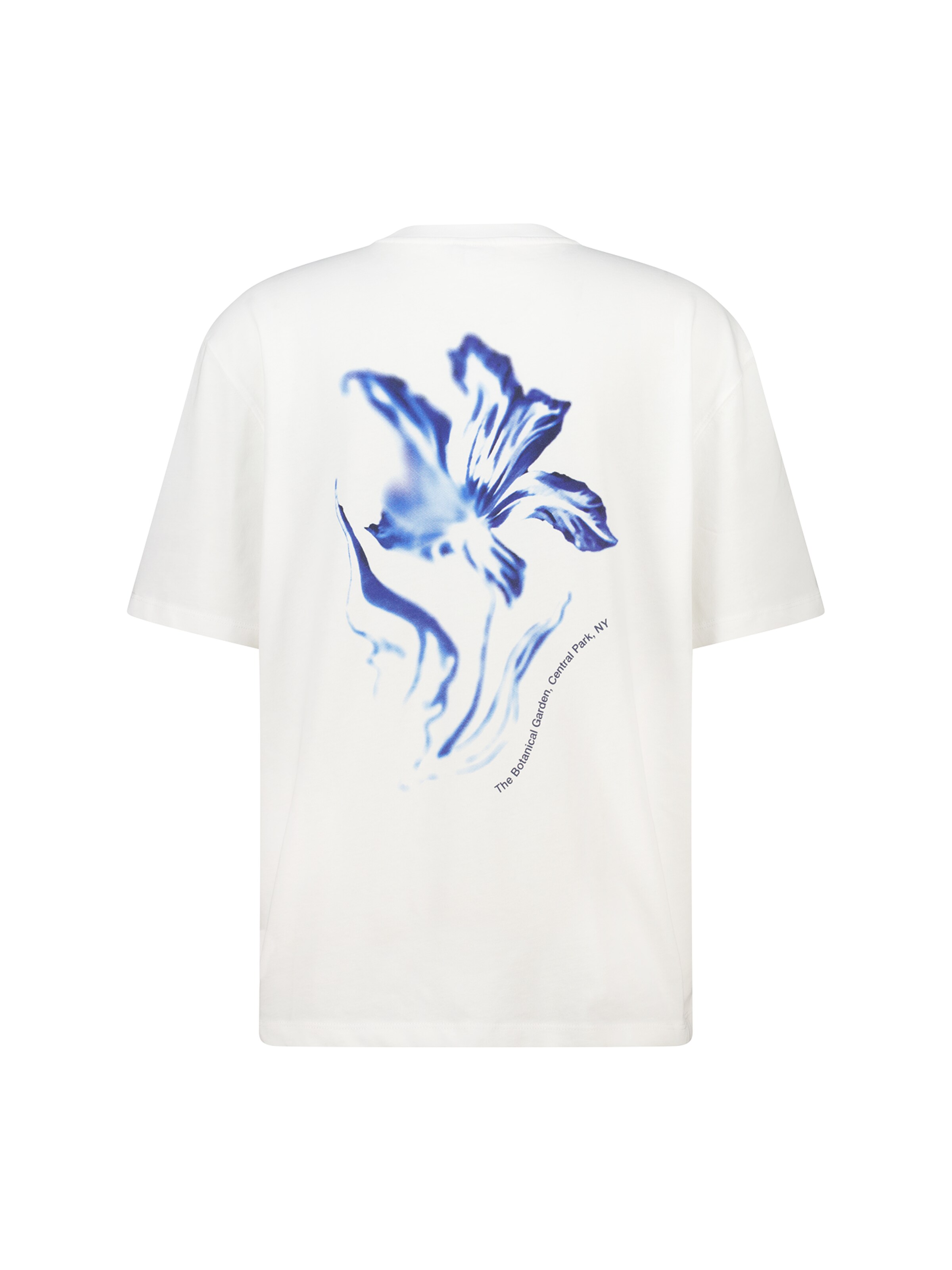 America Today Shirt in Wit: voorkant