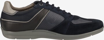 GEOX Sneaker 'Adrien' in Blau