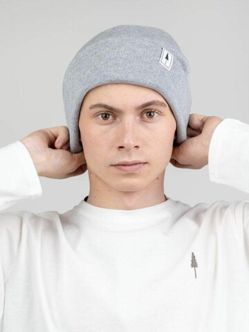 NIKIN Sports beanie 'Treeanie' in Grey