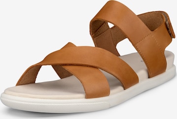 ECCO Riemensandale 'Samara' in Braun: Vorderseite