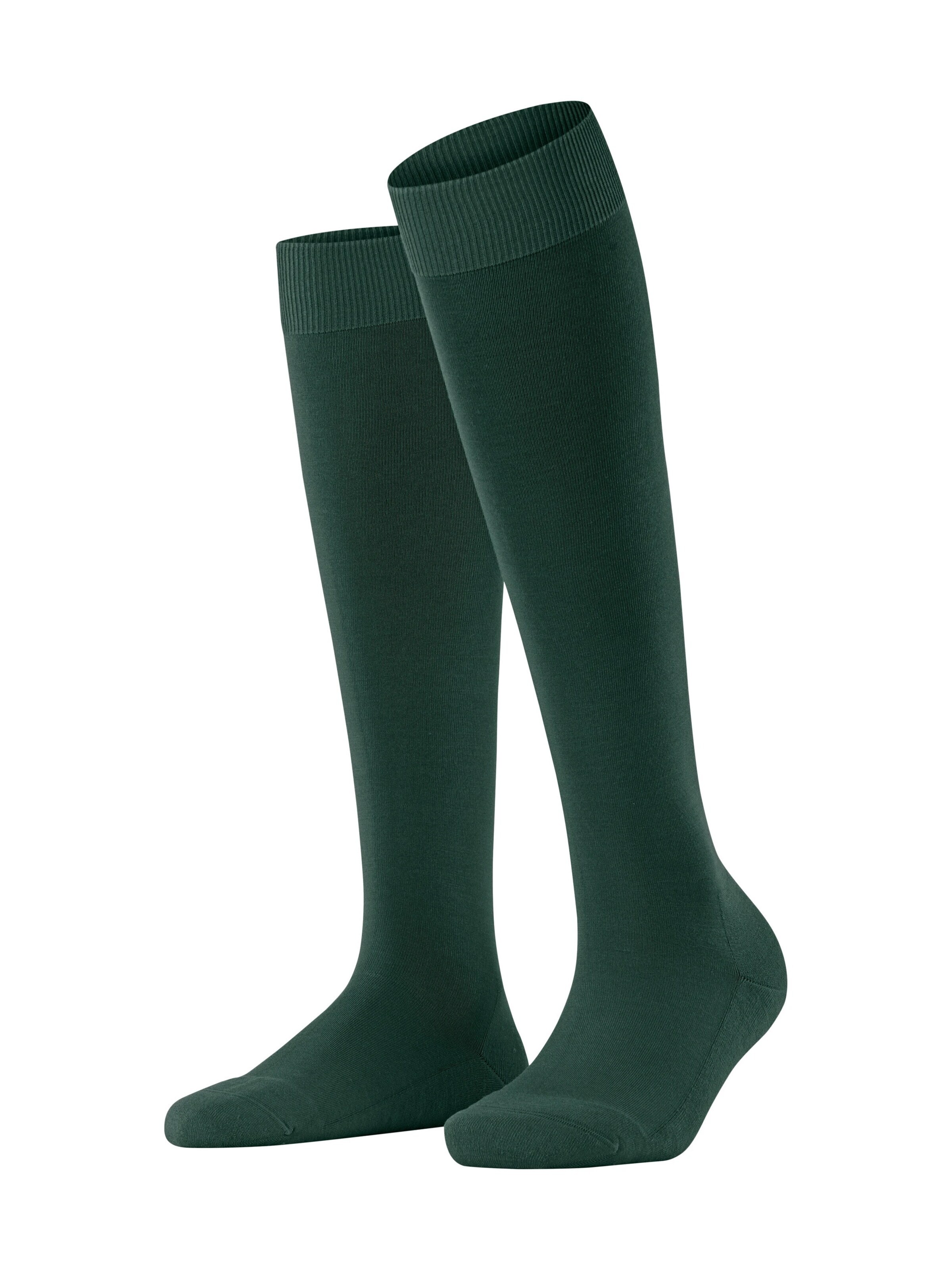 FALKE Knee High Socks 'ClimaWool' in Green: front