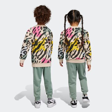 Survêtement ADIDAS ORIGINALS en vert