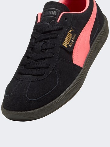 PUMA Sneakers ' Palermo ' in Pink