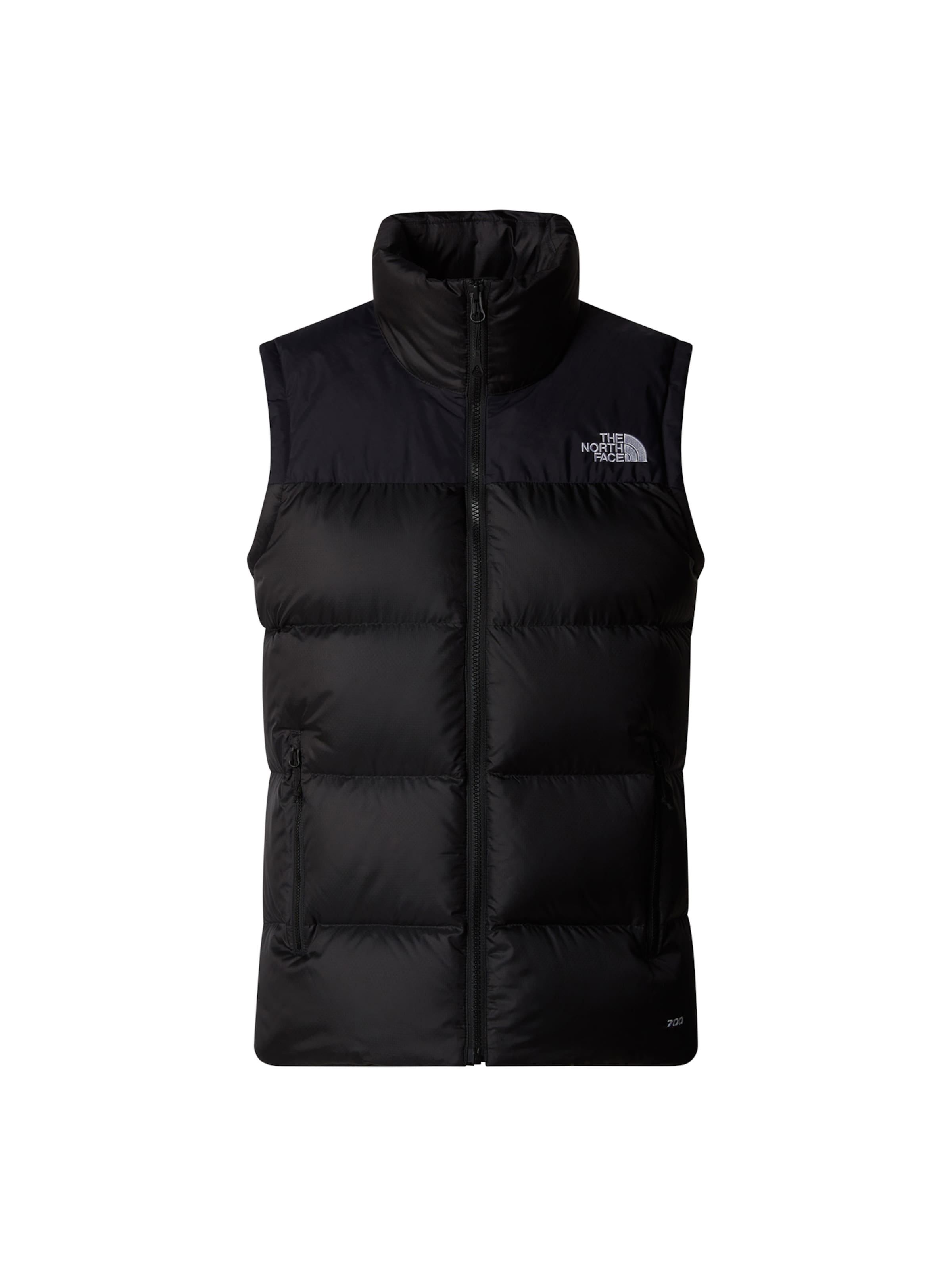 THE NORTH FACE Жилетка 'DIABLO DOWN 2.0' в Черный: спереди