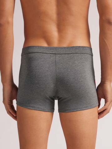 INTIMISSIMI Boxer shorts '©DISNEY ZIO' in Grey