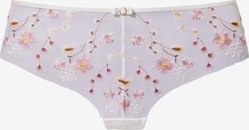 LASCANA Boyshorts in White: front